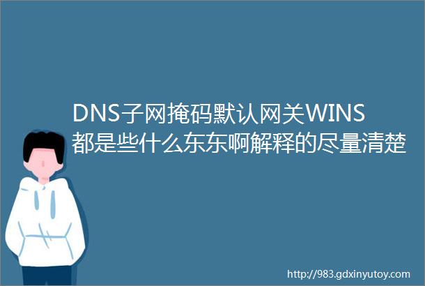 DNS子网掩码默认网关WINS都是些什么东东啊解释的尽量清楚点